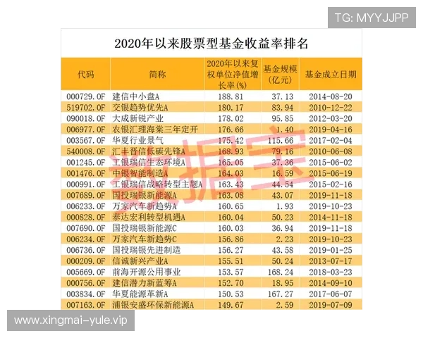 掌握百家乐稳赢秘籍提升你的游戏胜率打造长期稳定盈利的必胜方案
